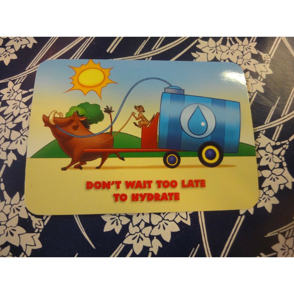 Disney WILD ABOUT SAFETY CARD Pumbaa timon #13 tip 2014 dont wait to Hydrate